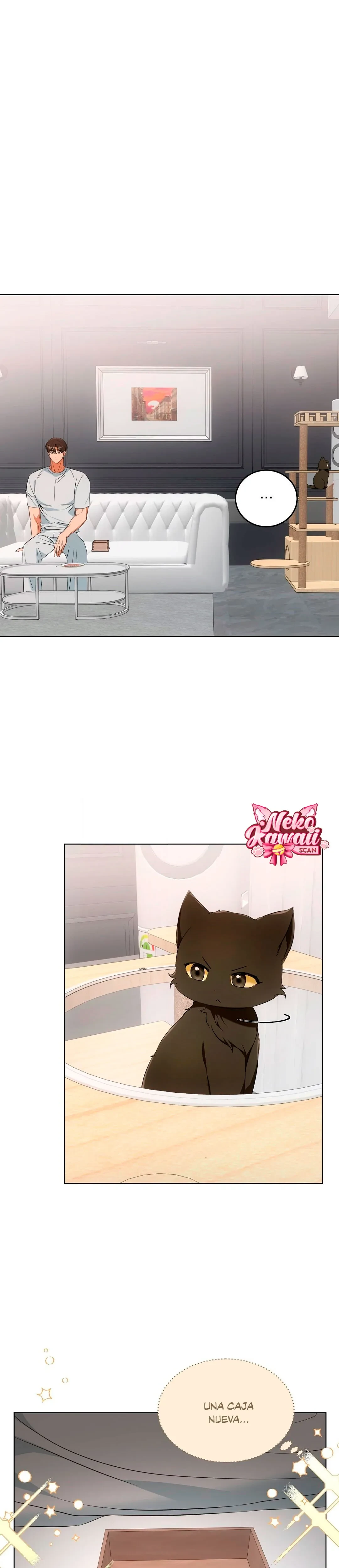 Terapia de gatos - Capítulo 11 - Página 2 - LectorTMOo