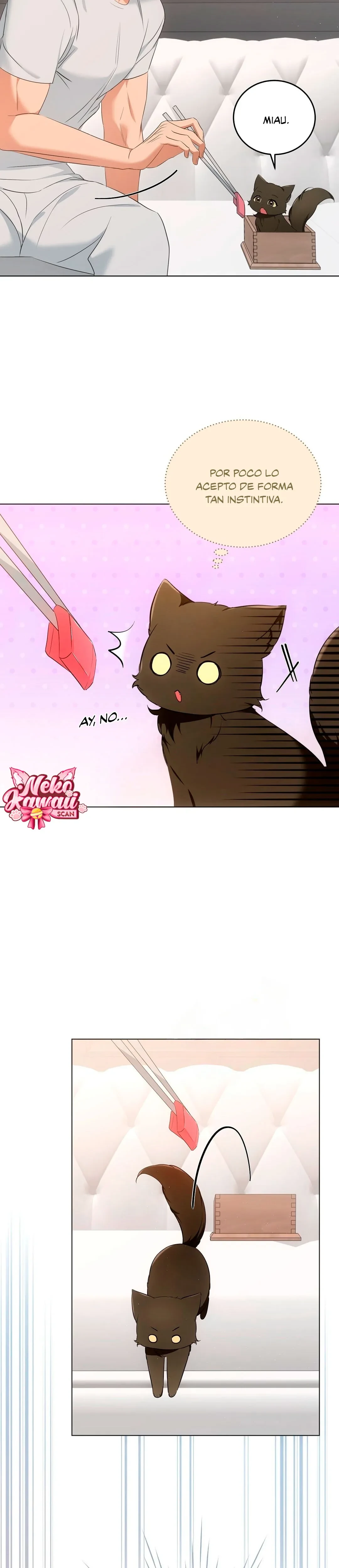 Terapia de gatos - Capítulo 11 - Página 8 - LectorTMOo