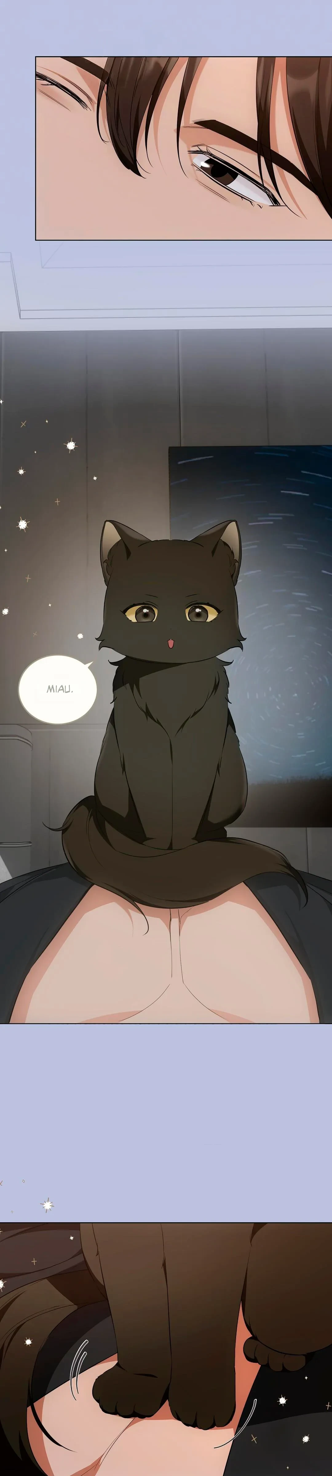 Terapia de gatos - Capítulo 14 - Página 22 - LectorTMOo