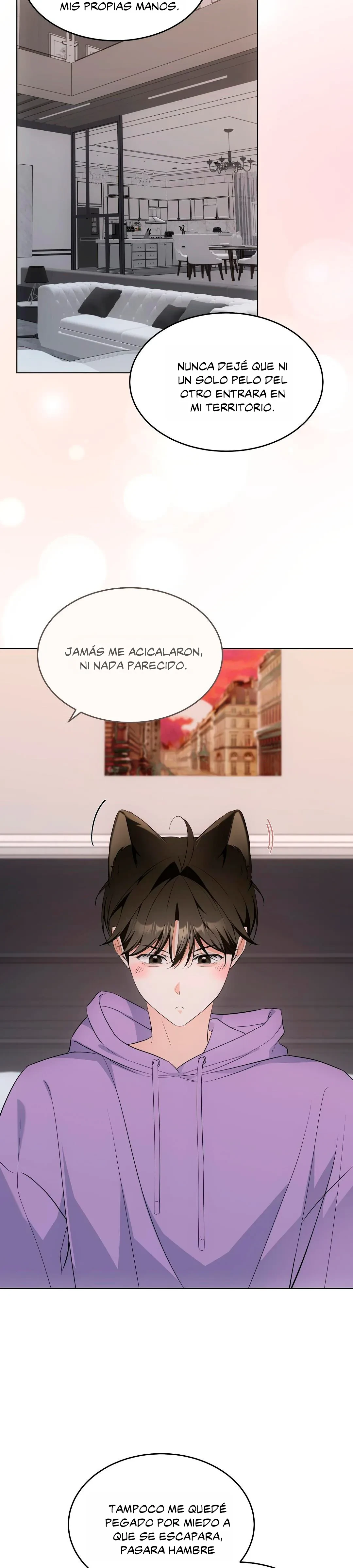 Terapia de gatos - Capítulo 16 - Página 21 - LectorTMOo