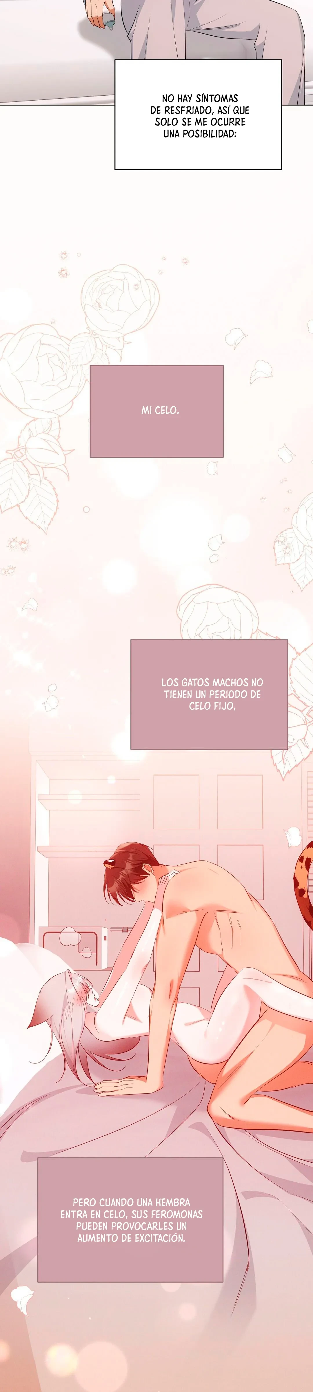 Terapia de gatos - Capítulo 18 - Página 23 - LectorTMOo