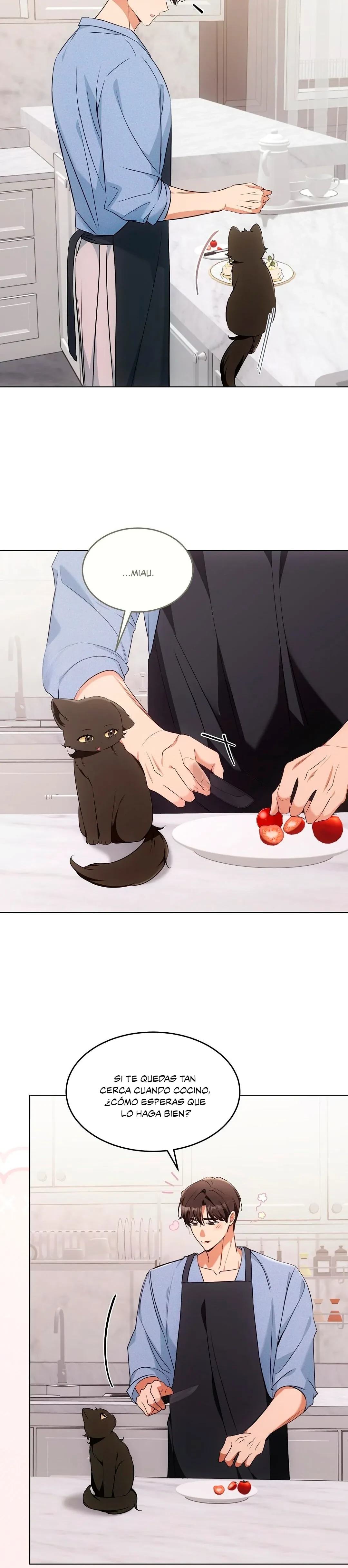 Terapia de gatos - Capítulo 19 - Página 4 - LectorTMOo
