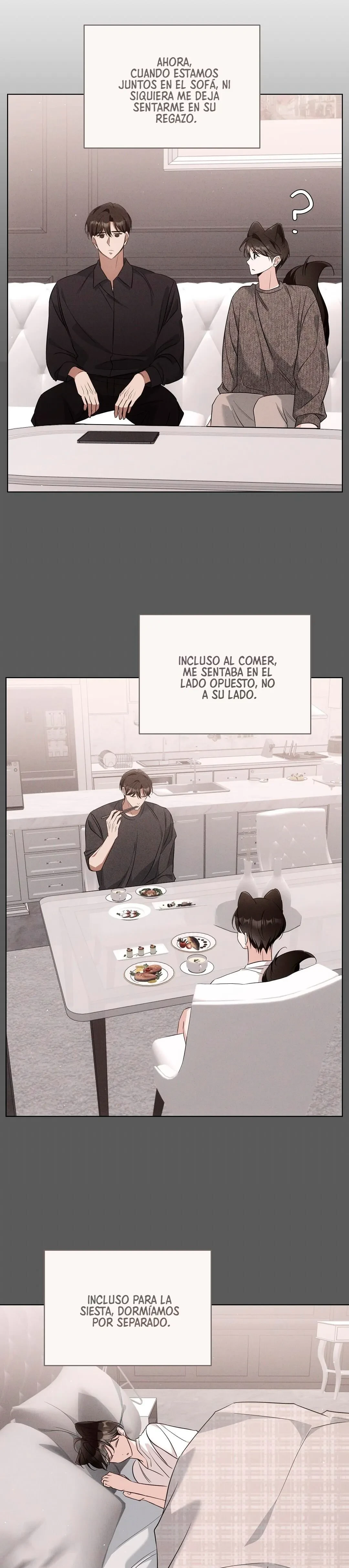 Terapia de gatos - Capítulo 19 - Página 11 - LectorTMOo