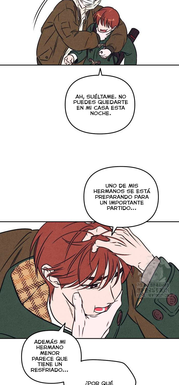 Página 41